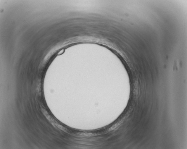 X0000086071499200704202113