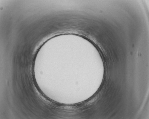 X0000086071500200704202113