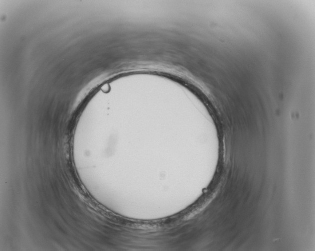 X0000086071501200704202113