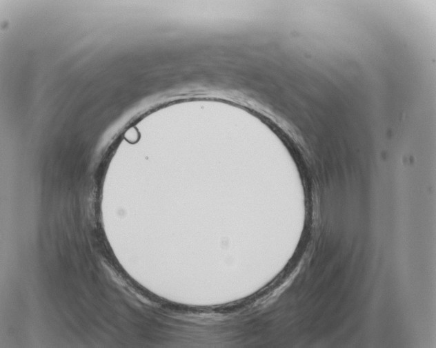 X0000086071502200704202113