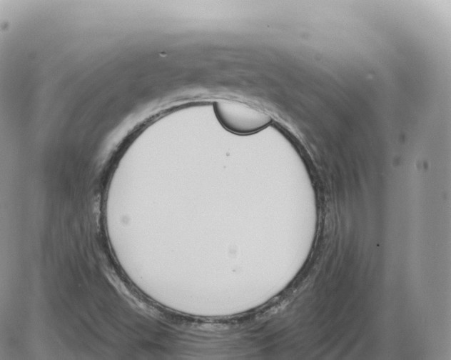 X0000086071503200704202113