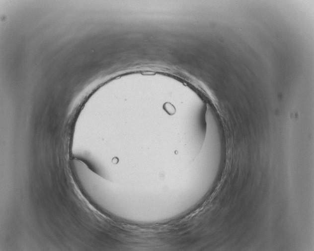 X0000086071504200704202113