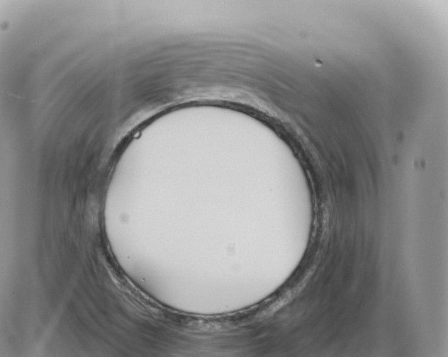 X0000086071505200704202113