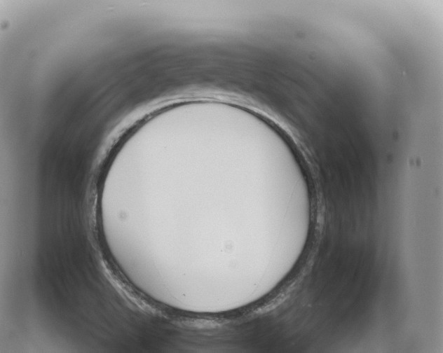 X0000086071507200704202113