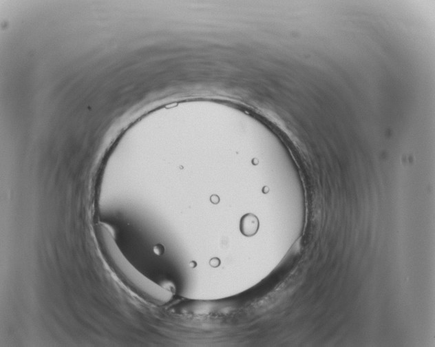 X0000086071508200704202113