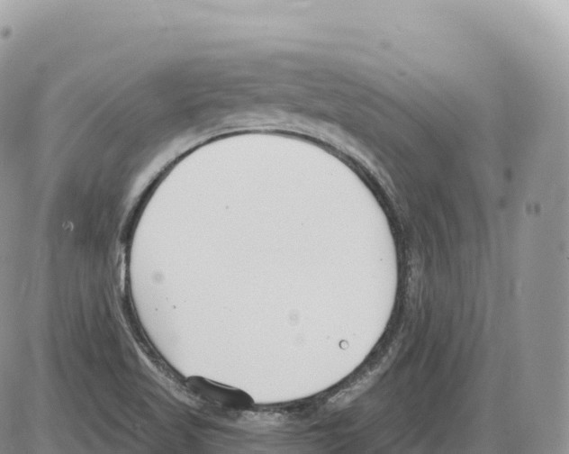 X0000086071509200704202113