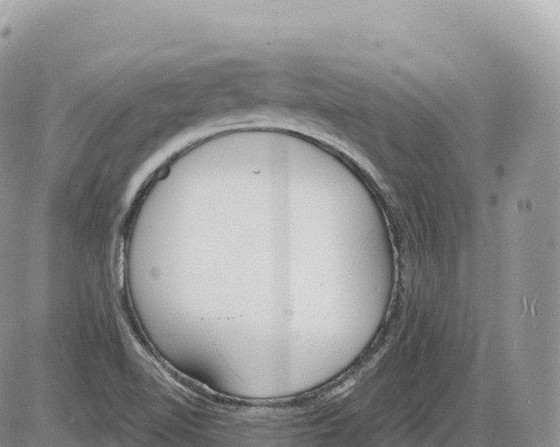 X0000086071510200704202113