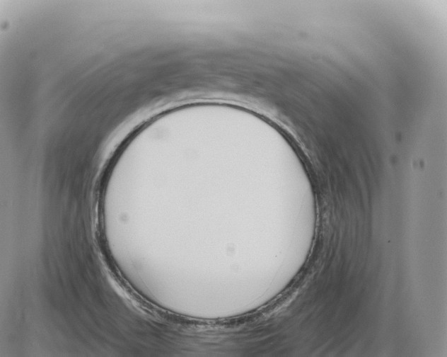 X0000086071511200704202113