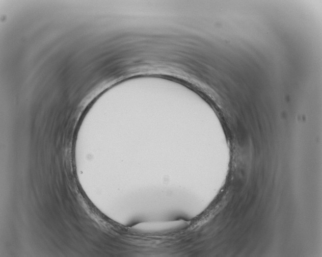 X0000086071513200704202113