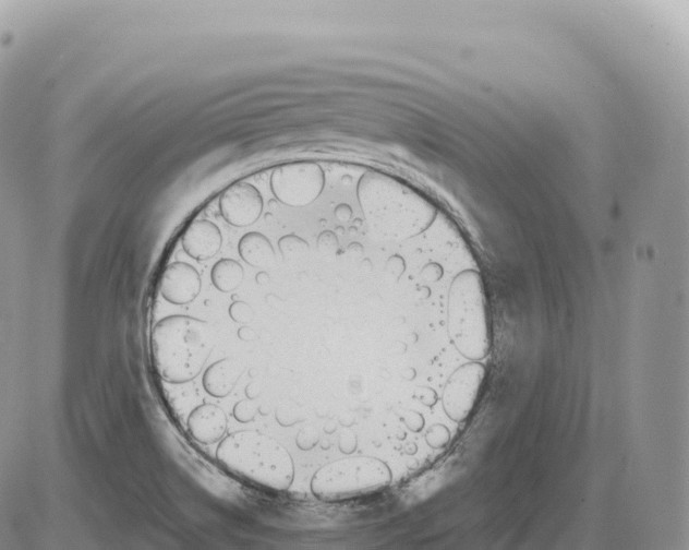 X0000086071514200704202113