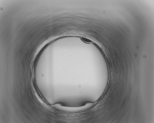 X0000086071515200704202113