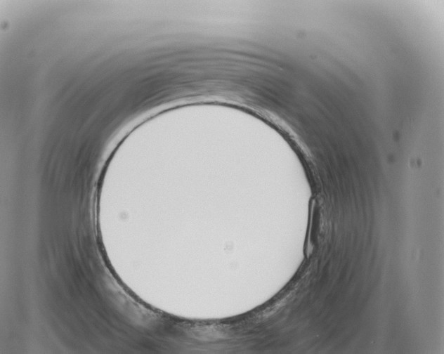 X0000086071516200704202113