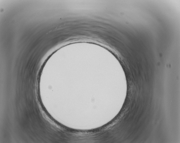 X0000086071518200704202113