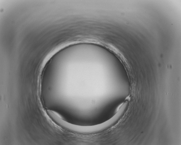 X0000086071520200704202113