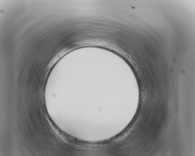 X0000086071521200704202113