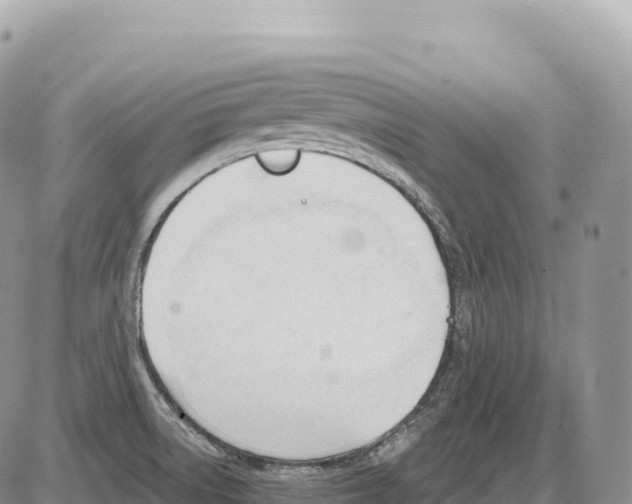 X0000086071522200704202113