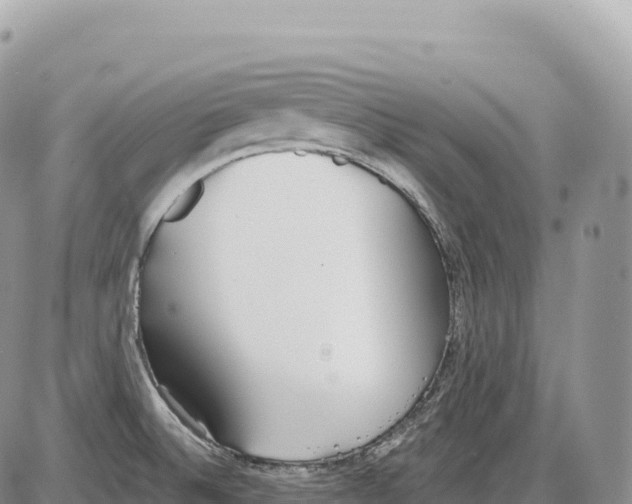 X0000086071524200704202113