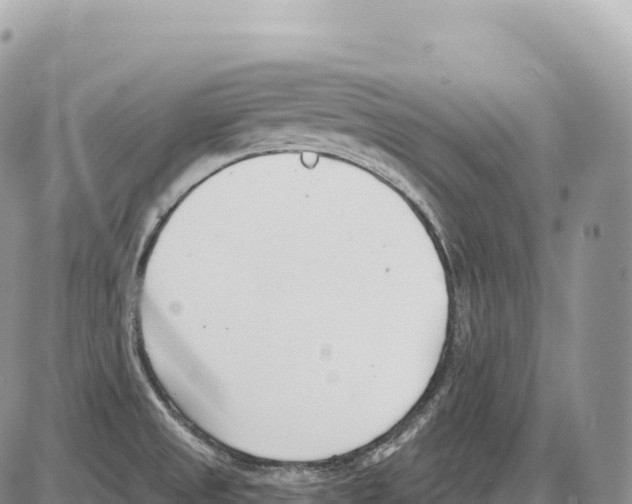 X0000086071525200704202113