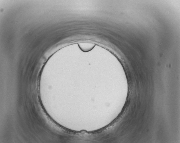 X0000086071526200704202113