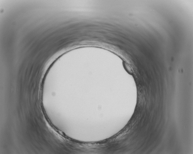 X0000086071527200704202113