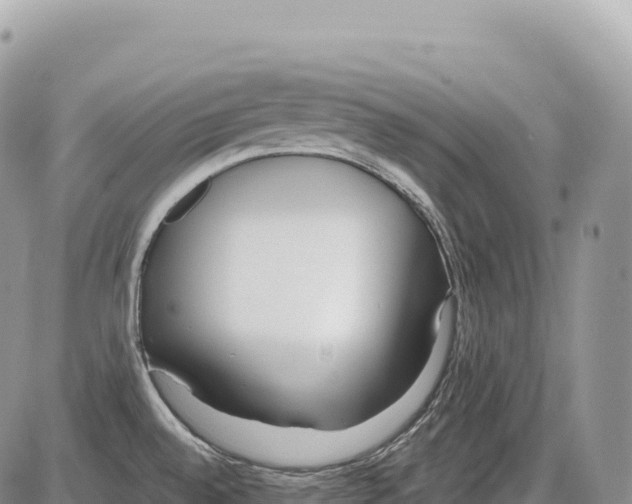 X0000086071528200704202113