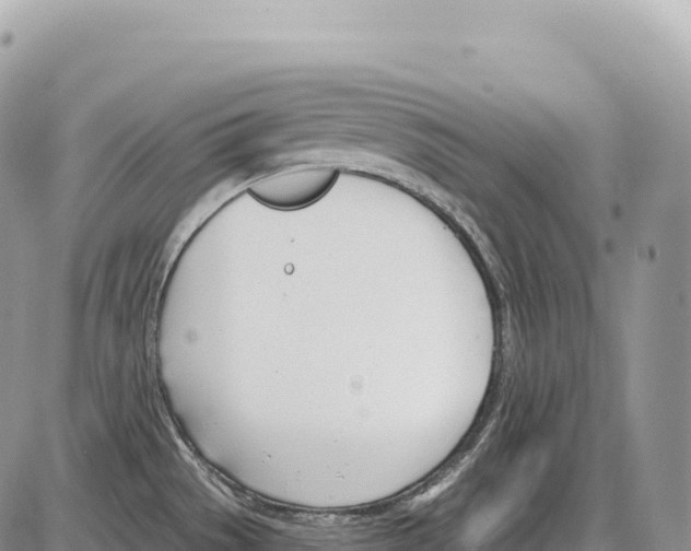 X0000086071529200704202114