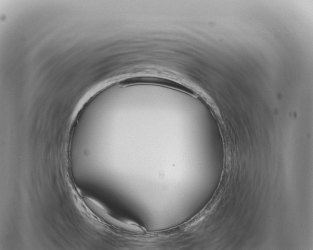 X0000086071530200704202114