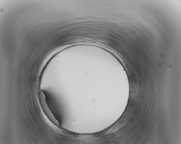 X0000086071531200704202114