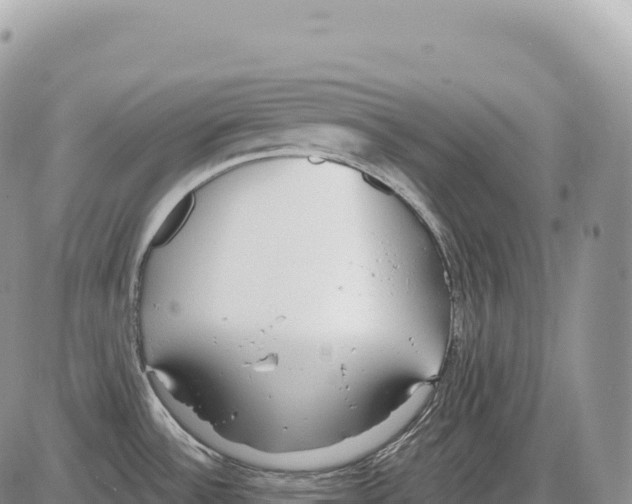 X0000086071532200704202114