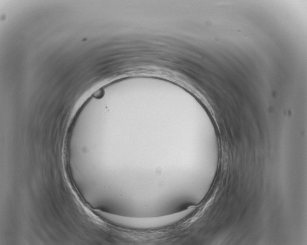 X0000086071533200704202114