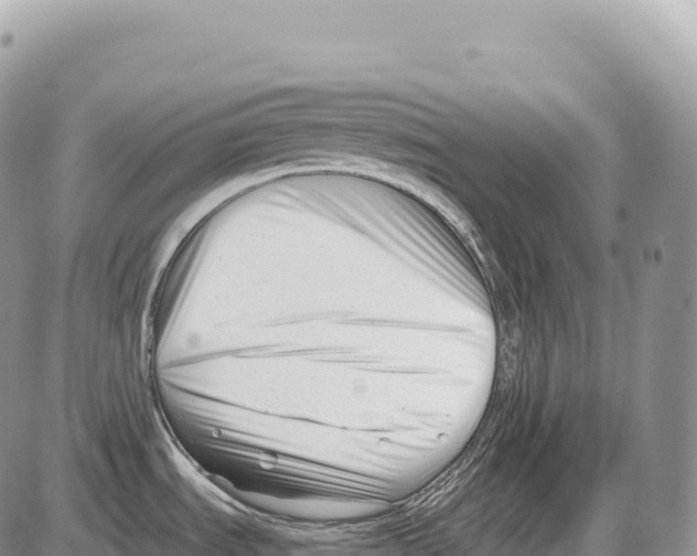 X0000086071535200704202114