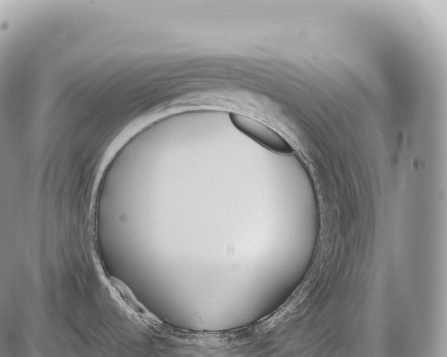 X0000086071536200704202114