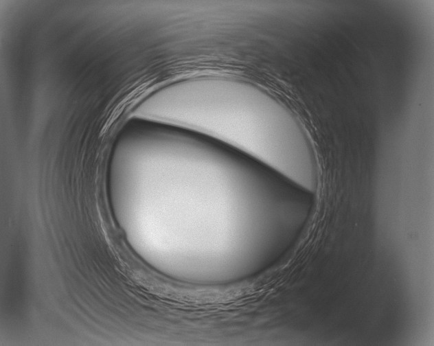 X0000086080001200703231102