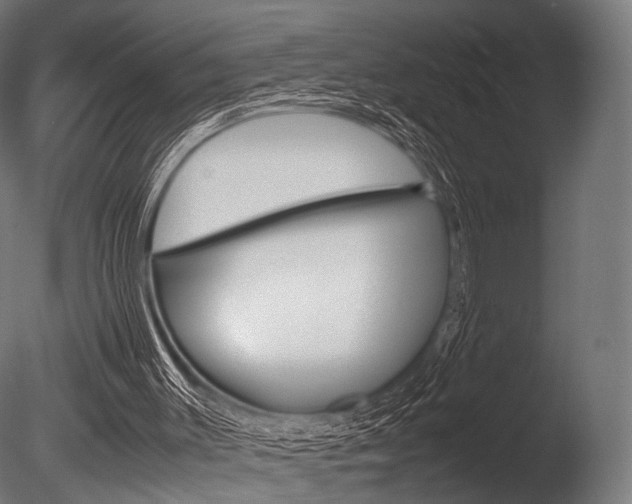 X0000086080003200703231102