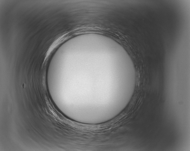 X0000086080004200703231102
