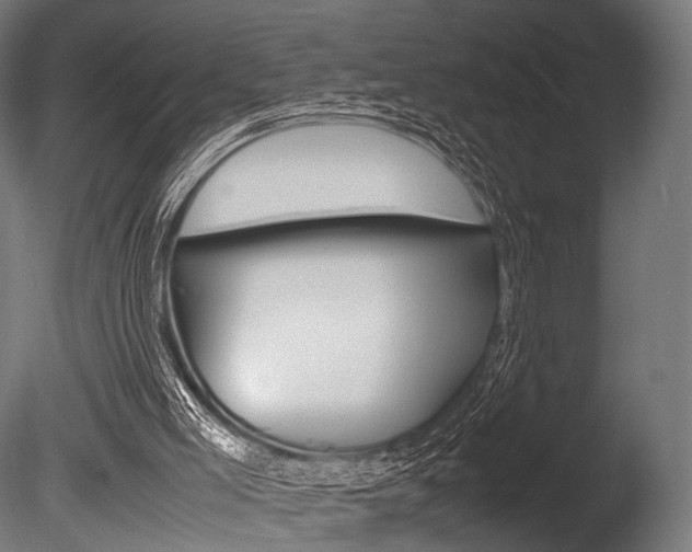 X0000086080005200703231102