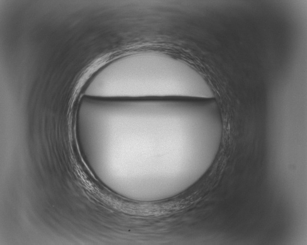 X0000086080006200703231102