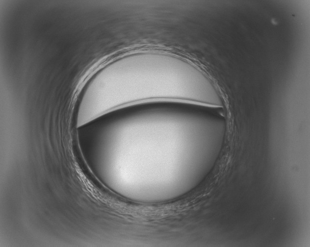 X0000086080007200703231102