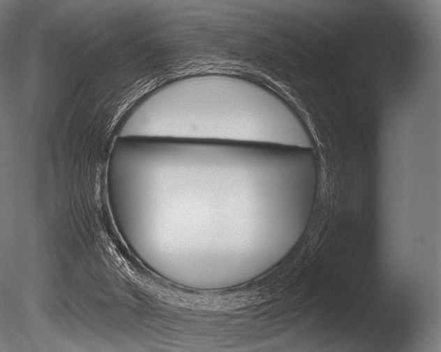 X0000086080010200703231102