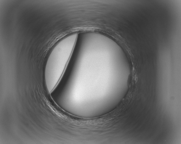 X0000086080013200703231102