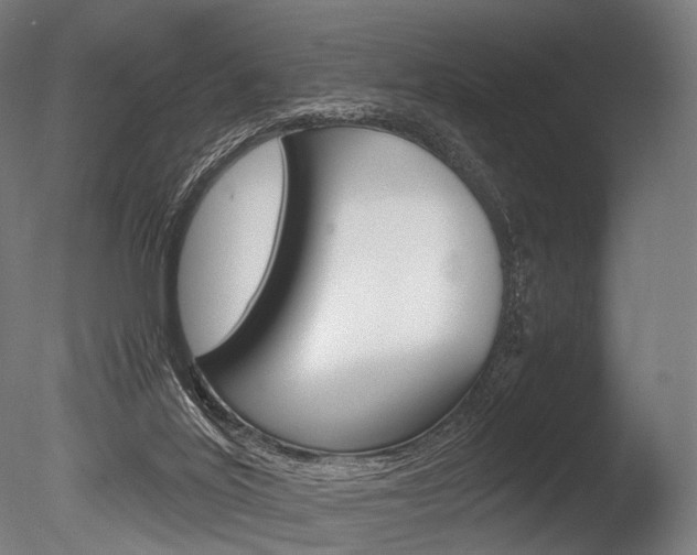 X0000086080020200703231102