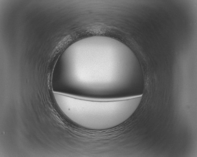 X0000086080023200703231102