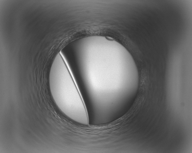 X0000086080025200703231101