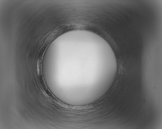 X0000086080026200703231101
