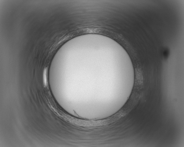 X0000086080028200703231101