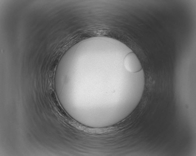 X0000086080030200703231101
