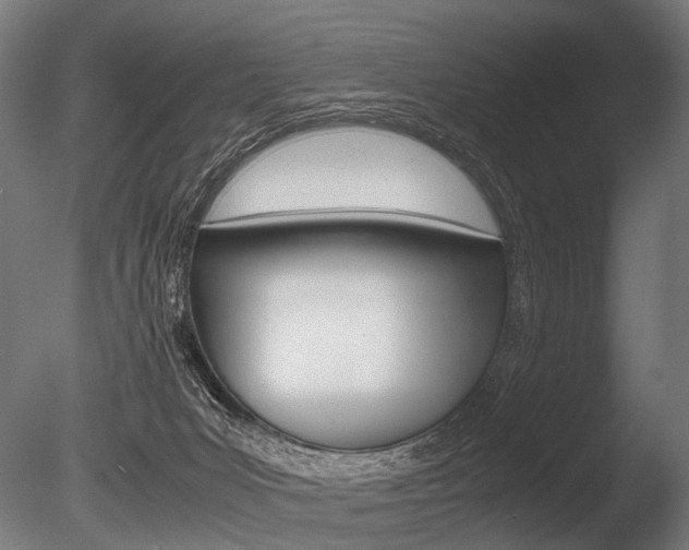X0000086080031200703231101