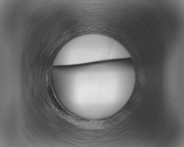 X0000086080032200703231101