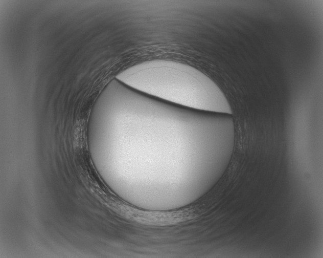 X0000086080034200703231101