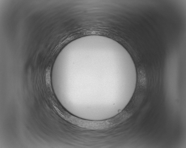 X0000086080036200703231101